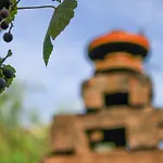 Corte Trullo Sovrano 阿尔贝罗贝洛