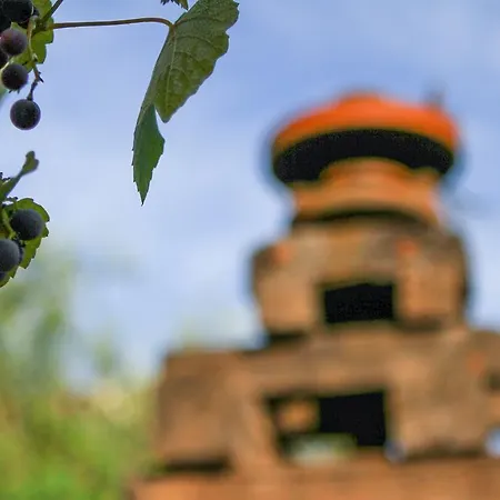Corte Trullo Sovrano 阿尔贝罗贝洛