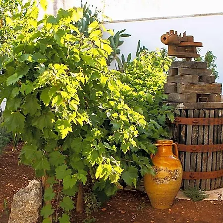 Corte Trullo Sovrano Alojamento de Acomodação e Pequeno-almoço 4*