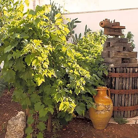 Oda ve Kahvaltı Corte Trullo Sovrano 4*