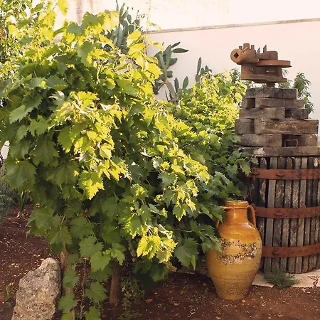 Corte Trullo Sovrano