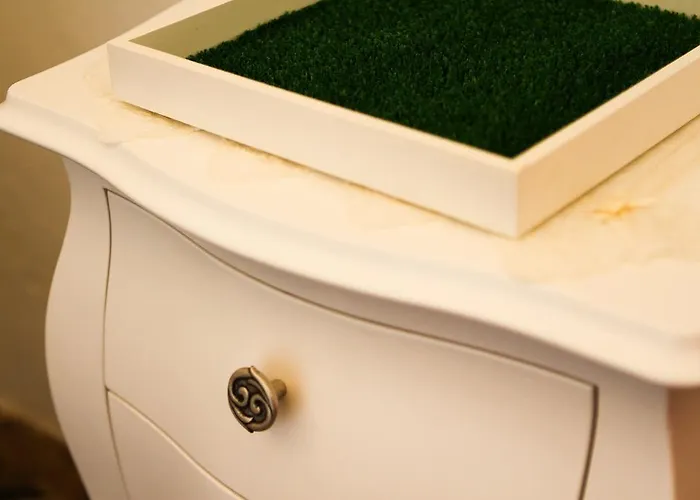 Nocleg ze śniadaniem Corte Trullo Sovrano Alberobello